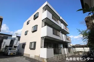 ドミール原IIの画像