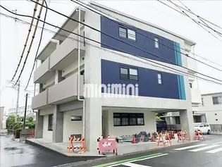 クランベリーの画像