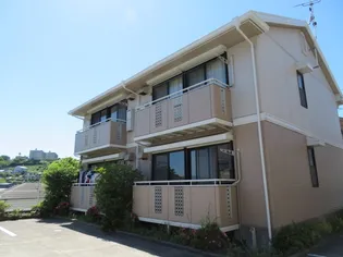 サザンクロスIIの画像