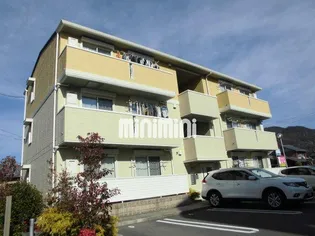 SEJOUR TAMMYの画像