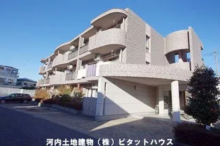 サンライトCの画像