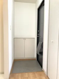 サングリーン A棟【2階】の玄関