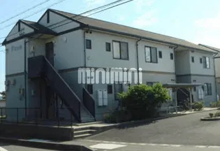 サザンクロスCの画像