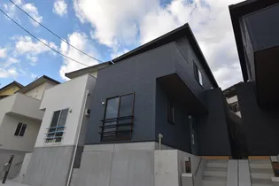 大阪府柏原市大字高井田【一戸建】の外観