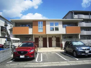 エルベラン ソラの画像