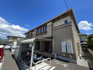 プラシードの画像