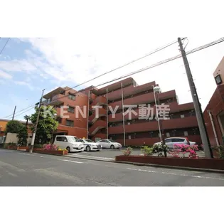 上池台コータスIIの画像