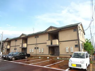 アムールの画像