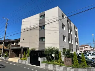 ボラ カーサの画像