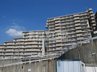 玉手山サンハイツの画像