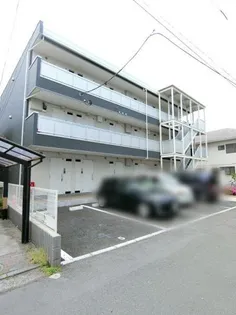 リブリ スカイ サンフラワーの画像
