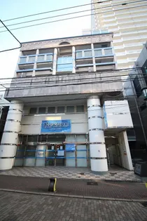 アムールアドニスの画像