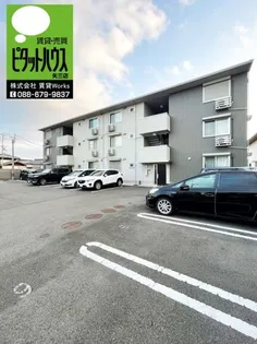 徳島県徳島市沖浜町北畑【アパート】の外観