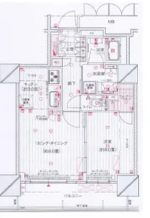 ブランズタワーウェリス心斎橋NORTH【5階】の間取り