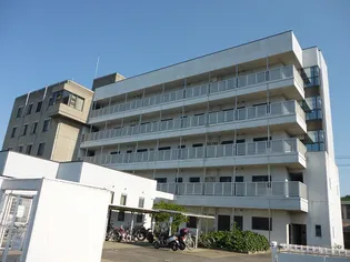 網の浦ハイツ【4階】の外観