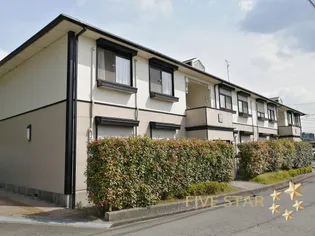 ハイツスターの画像