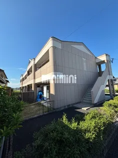 コリーヌの画像