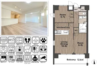 KATURA高崎【10階】の間取り