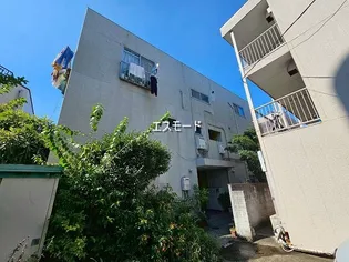 コンサーム等々力C棟【1階】の外観