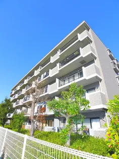 エレガンスの画像