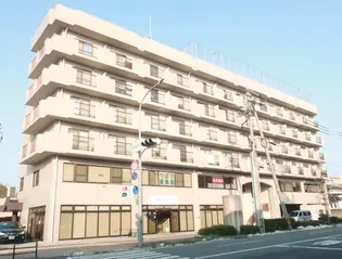 プラザマンションの画像