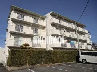 シャトルイヨダの画像