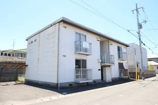 ニューエレガンスの画像