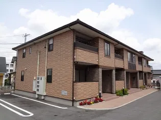 ルピナスの画像