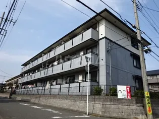 エーデルパインの画像