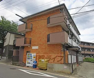 コテージ大枝【3階】の外観
