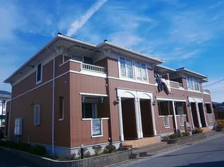 アイフリーデの画像