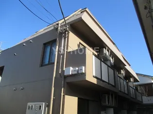 プリメーラの画像