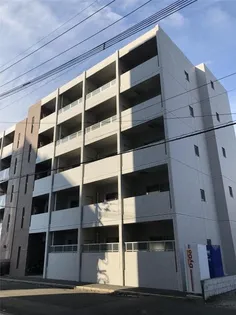 バンベール江平の画像