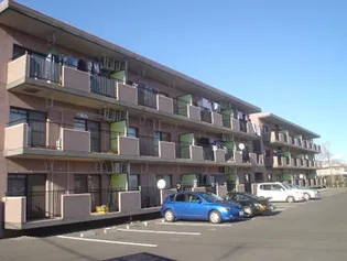 ロイヤルストーンIIの画像