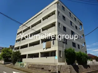 ロイヤルメゾン高森【1階】の外観