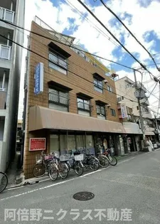 スプリングハウスの画像