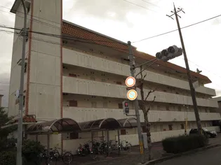 京都府長岡京市井ノ内下印田【マンション】の外観