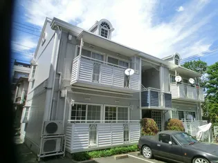 キャンディシュトラウセの画像