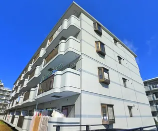 北柏グレースマンションB棟の画像