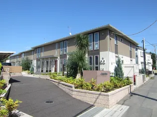 DANDELION Aの画像