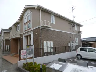 グレイスフルBの画像