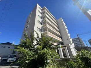 コートナガサワの画像