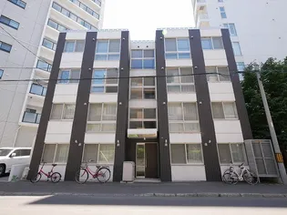 ノーチェの画像