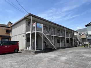 アプリコットの画像