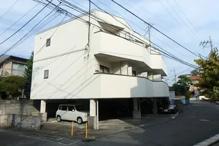 パールハイムアライの画像