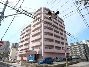 エクセリア駅南【7階】の外観