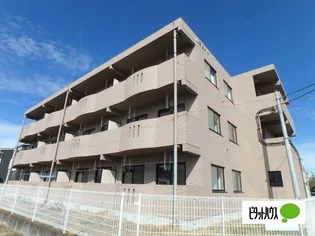 ルミエールの画像