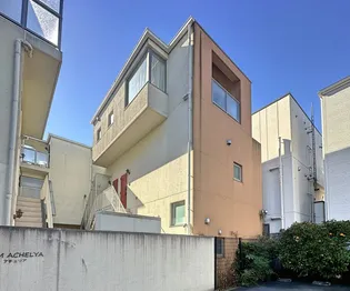 カラクムアチェリアの画像