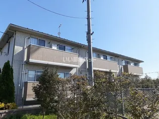 FLAT CIMA Cの画像