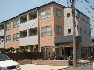 Mコート リオンの画像